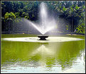 Picture Title - The fountain II