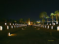 Picture Title - night guards