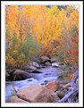 Picture Title - Creek and Fall Colors