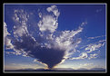 Picture Title - Storm cloud