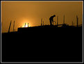 Picture Title - Highrise worker