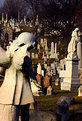 Picture Title - Dearly Departed.....