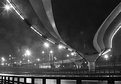 Picture Title - Urban serpent