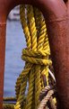 Picture Title - A Yellow Rope