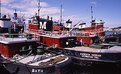 Picture Title - Tugboats