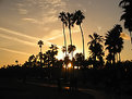 Picture Title - californian sunset