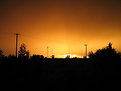 Picture Title - sun king...