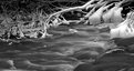 Picture Title - icy stream