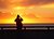 Yellow Sky
