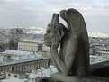 Picture Title - Gargola en Notre Dame,Paris