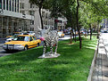 Picture Title - Cow Parade Park Av.,NY