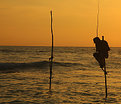 Picture Title - Fisherman (2)