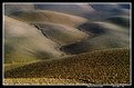 Picture Title - Carapace Toscano