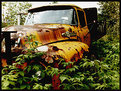 Picture Title - Rusting Away