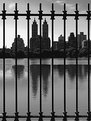 Picture Title - City Reflections