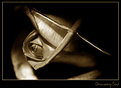 Picture Title - Drowning Soul