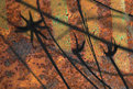 Picture Title - Shadows on Rust