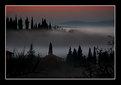 Picture Title - la nebbia  in Toscana