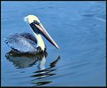 Picture Title - Rippled Reflection