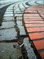 Picture Title - Curves and cobble-stones