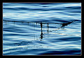 Picture Title - Water&Rope