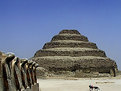 Picture Title - At Saqqara