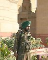 Picture Title - Soldier on guard