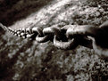 Picture Title - Chain