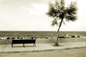 Picture Title - sepia Mediterraneo