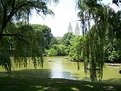 Picture Title - Central Park in July