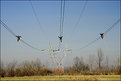 Picture Title - Powerline Party Trio