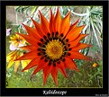 Picture Title - Kaleidoscope
