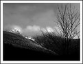 Picture Title - b&w peaks