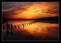 Picture Title - Sunset at Lake Washington