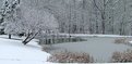 Picture Title - Winter Landscape