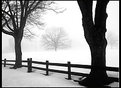 Picture Title - Winter Fog