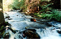 Picture Title - Ricketts Glen Pa.