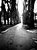 Way Of My L&#304;fe