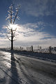 Picture Title - Winter country road