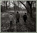 Picture Title - Fall walk