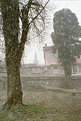 Picture Title - Bulgarian Snow Whirls