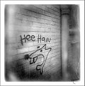 Picture Title - Hee Haw