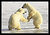 Polar Bears Sparring