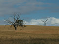 Picture Title - Chelicum Wind farm