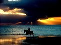 Picture Title - Horse Sunset