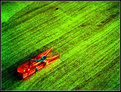 Picture Title - Orange on green