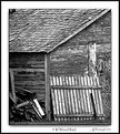 Picture Title - Old Wood Shed