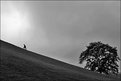 Picture Title - as I climbing up the hill