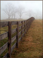 Picture Title - Fog and Fence