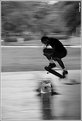 Picture Title - Panning